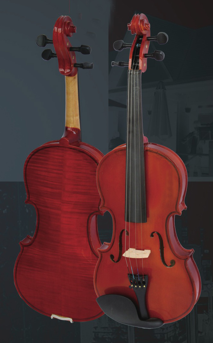 Violin